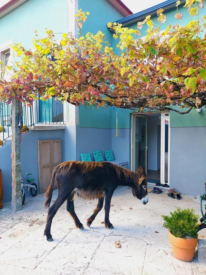 Villa Quinta Da Quinhas Vila Praia de Âncora Exterior foto