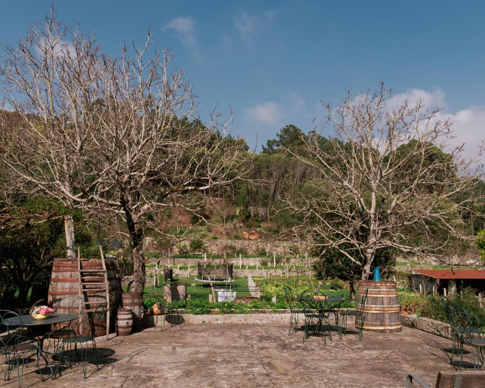 Villa Quinta Da Quinhas Vila Praia de Âncora Exterior foto